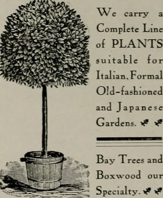 An illustration from The Architect & engineer of California and the Pacific Coast, 1905, leaf 355