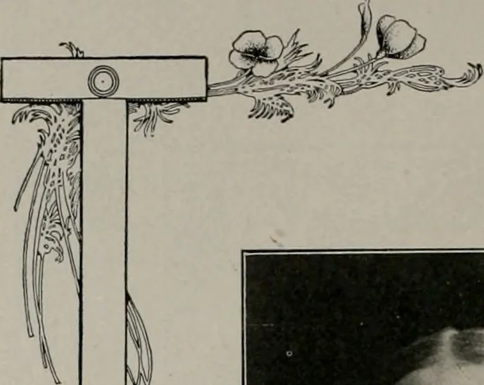 An illustration from The Architect & engineer of California and the Pacific Coast, 1905, leaf 367