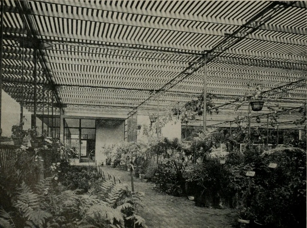An illustration from Architect and engineer, 1905, leaf 215