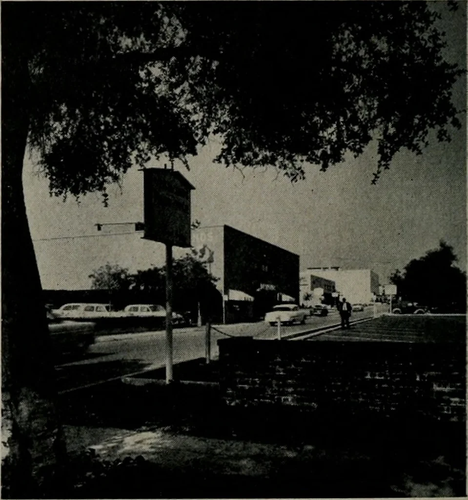 An illustration from Architect and engineer, 1905, leaf 307
