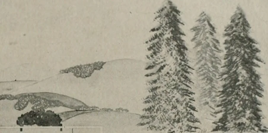 An illustration from Architect and engineer, 1905, leaf 464