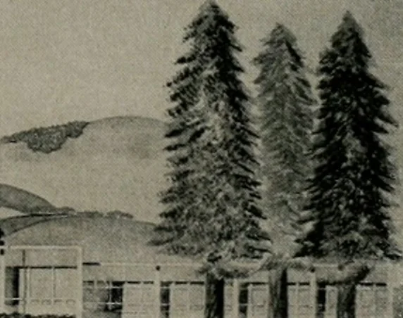 An illustration from Architect and engineer, 1905, leaf 474