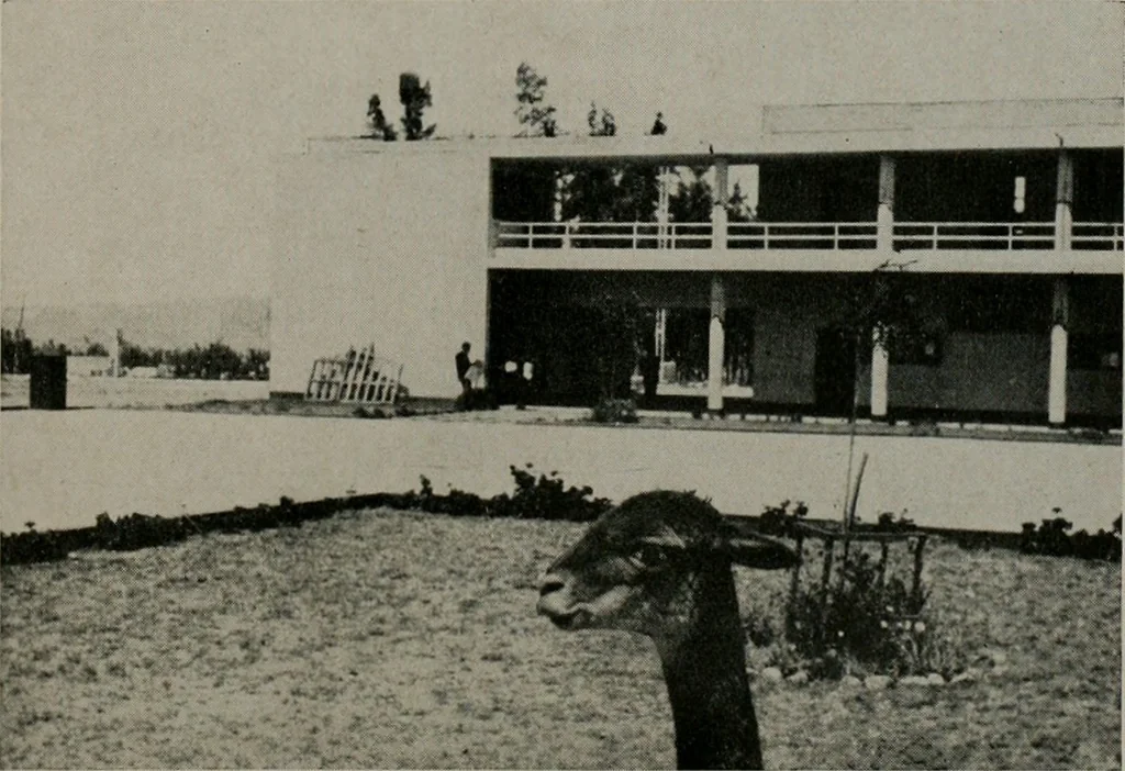 An illustration from Architect and engineer, 1905, leaf 516