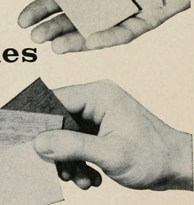 An illustration from Architect and engineer, 1905, leaf 205