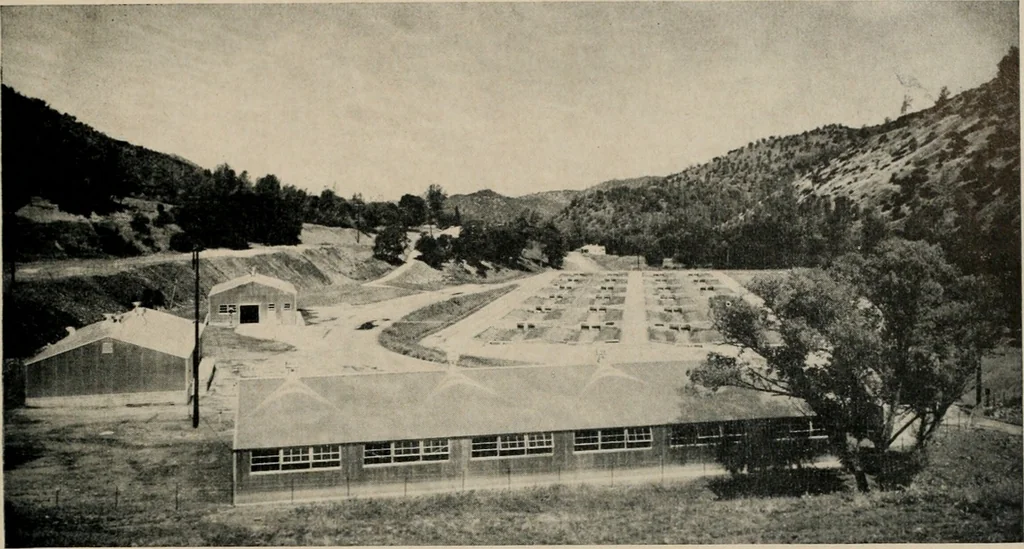An illustration from Architect and engineer, 1905, leaf 284