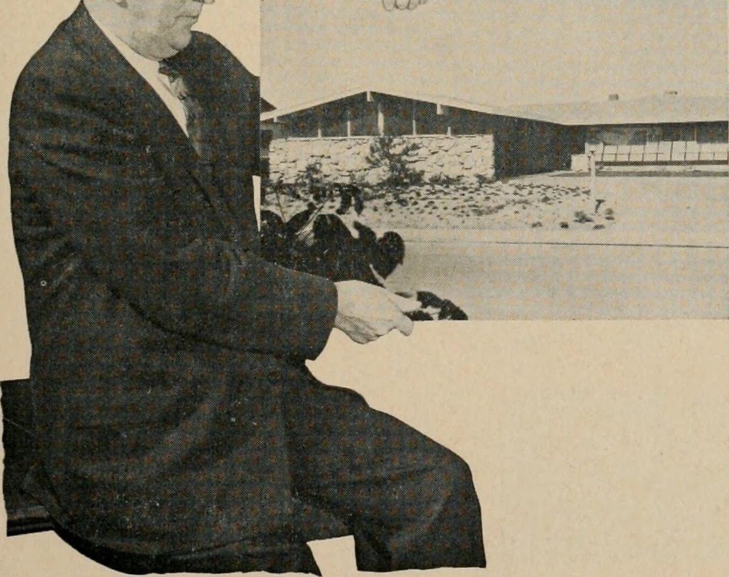 An illustration from Architect and engineer, 1905, leaf 312