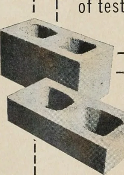 An illustration from Architect and engineer, 1905, leaf 33