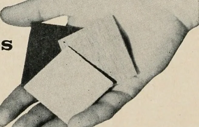 An illustration from Architect and engineer, 1905, leaf 405