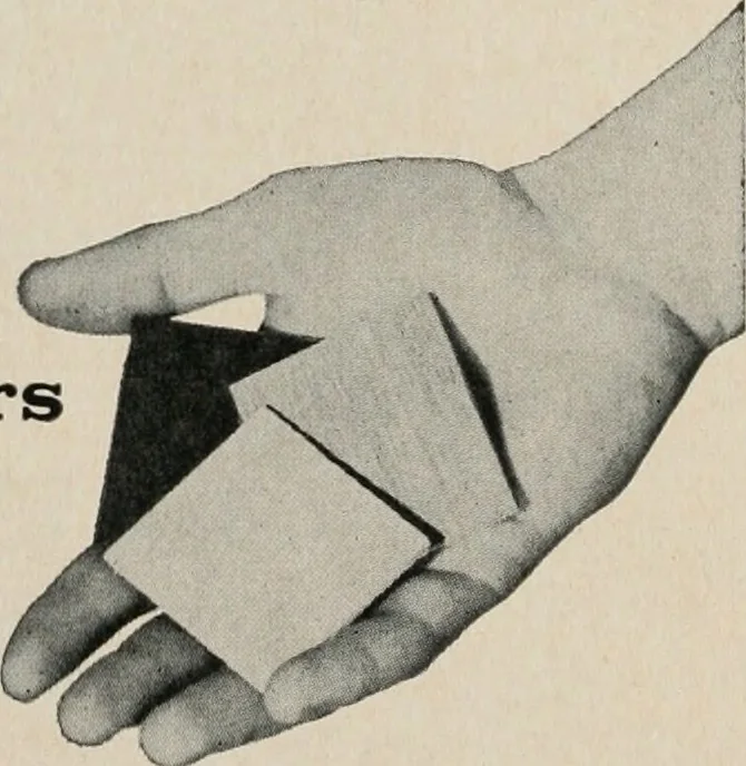 An illustration from Architect and engineer, 1905, leaf 509