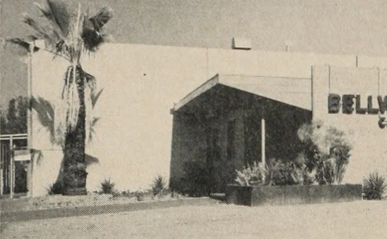 An illustration from Architect and engineer, 1905, leaf 81
