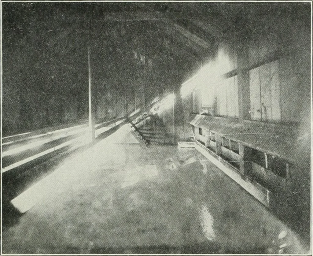 An illustration from The Architect & engineer of California and the Pacific Coast, 1905, leaf 288
