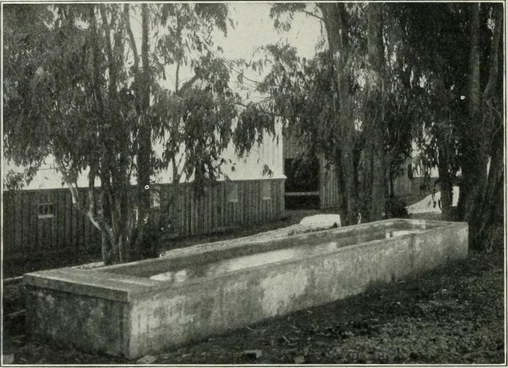 An illustration from The Architect & engineer of California and the Pacific Coast, 1905, leaf 289