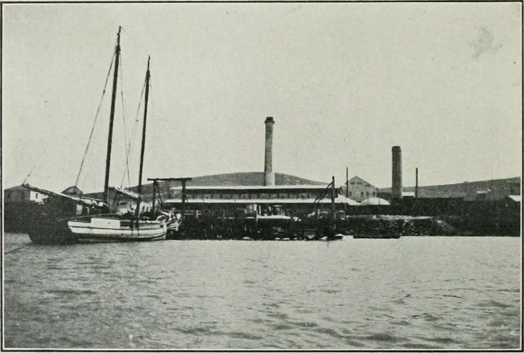An illustration from The Architect & engineer of California and the Pacific Coast, 1905, leaf 97