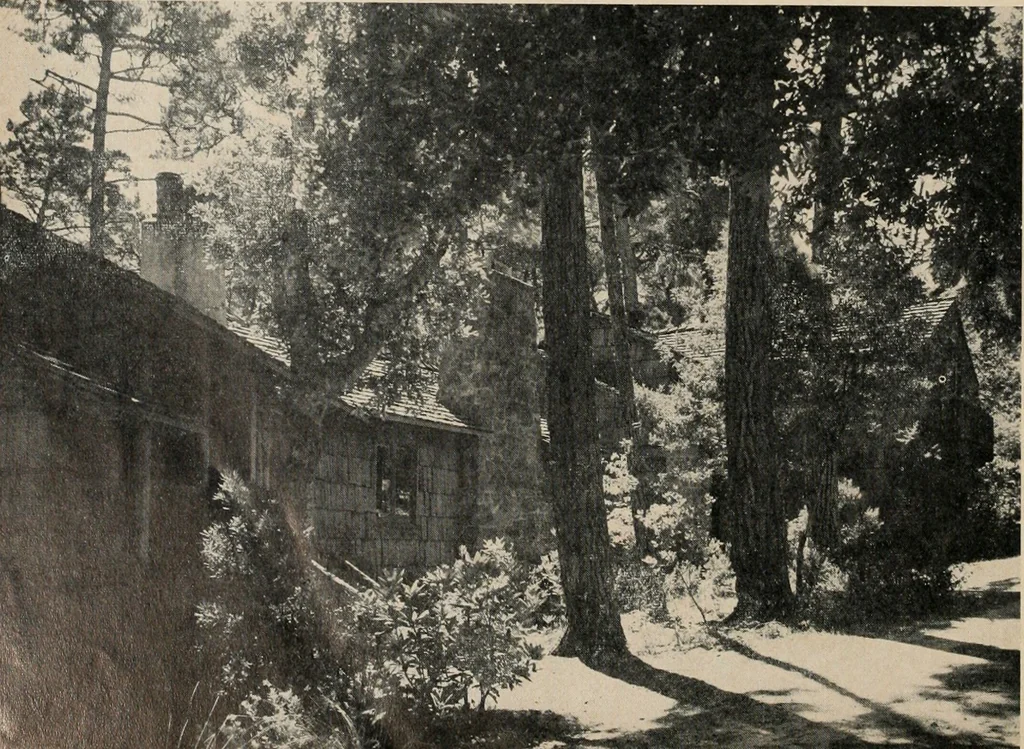 An illustration from Architect and engineer, 1905, leaf 327