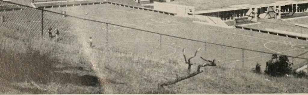 An illustration from Architect and engineer, 1905, leaf 333
