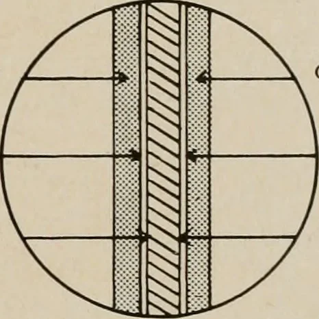 An illustration from Architect and engineer, 1905, leaf 448