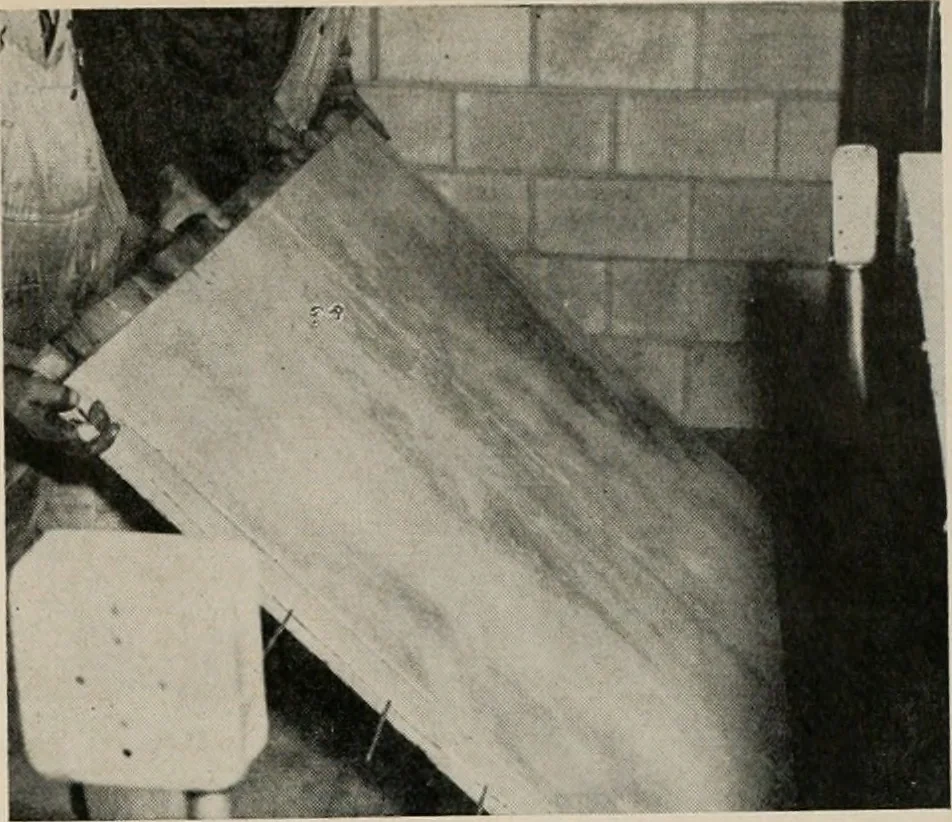 An illustration from Architect and engineer, 1905, leaf 546
