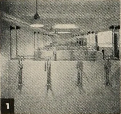 An illustration from Architect and engineer, 1905, leaf 87