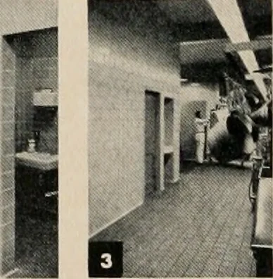 An illustration from Architect and engineer, 1905, leaf 87