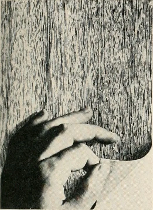 An illustration from Architect and engineer, 1905, leaf 152