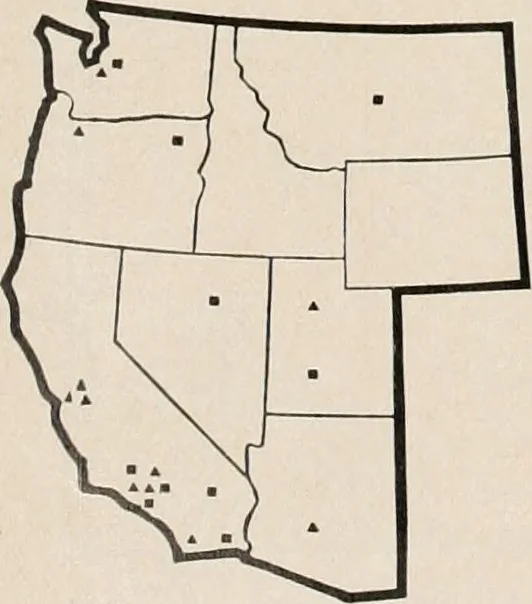 An illustration from Architect and engineer, 1905, leaf 209