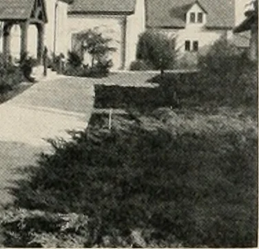 An illustration from Architect and engineer, 1905, leaf 228