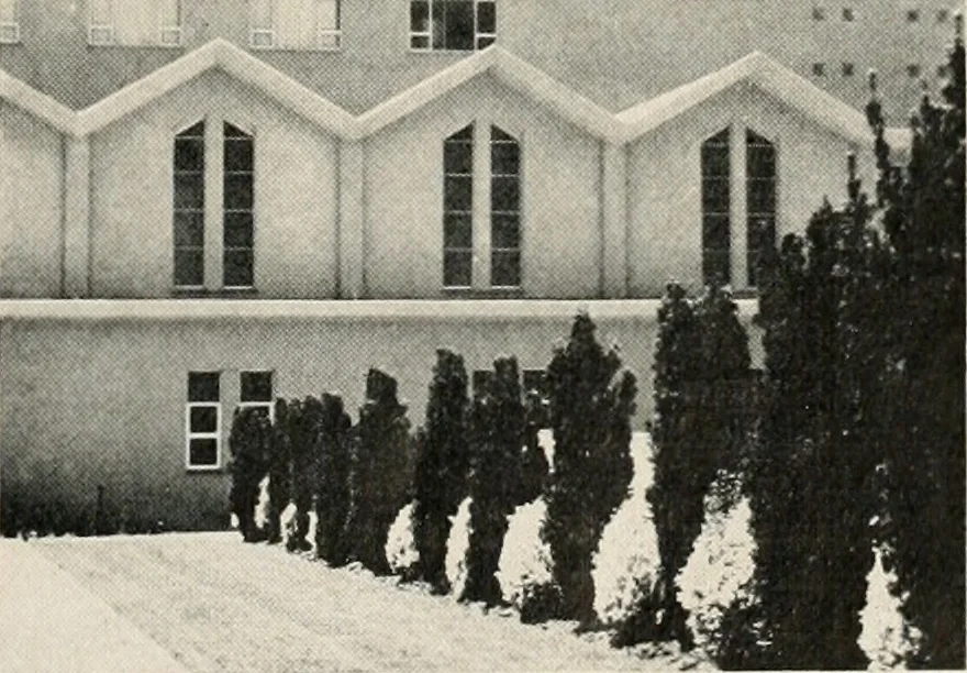 An illustration from Architect and engineer, 1905, leaf 230
