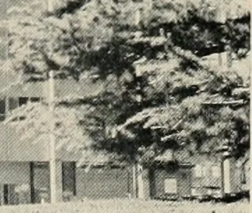 An illustration from Architect and engineer, 1905, leaf 71