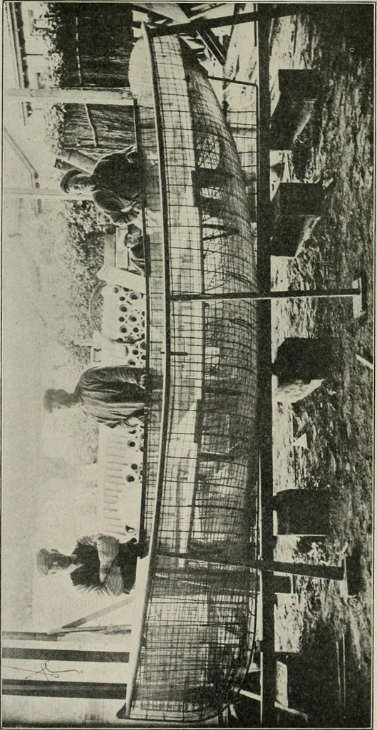 An illustration from The Architect & engineer of California and the Pacific Coast, 1905, leaf 255