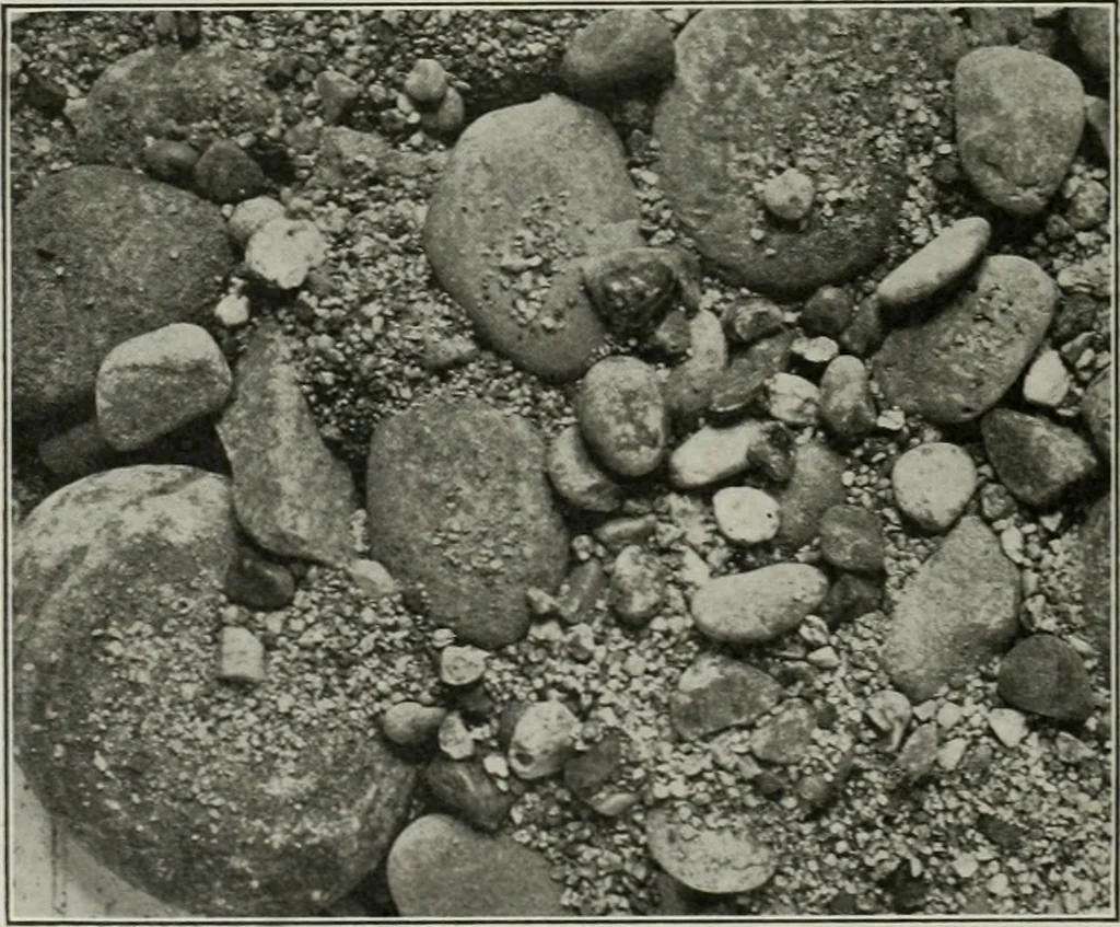 An illustration from The Architect & engineer of California and the Pacific Coast, 1905, leaf 277