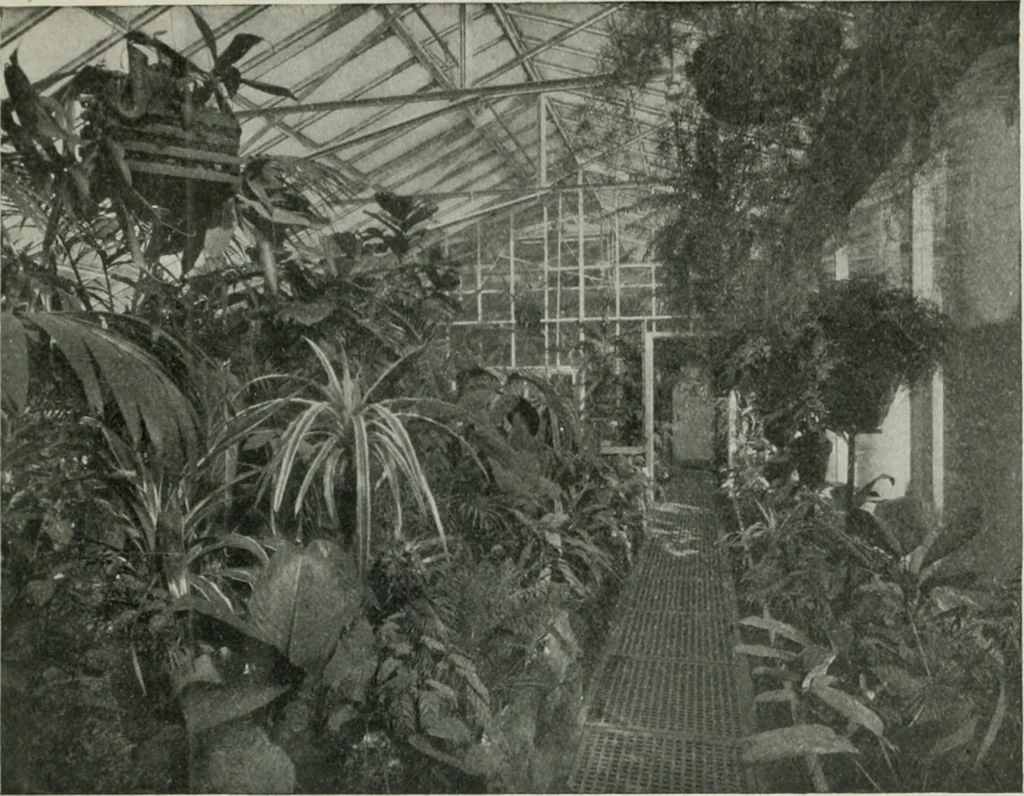 An illustration from The Architect & engineer of California and the Pacific Coast, 1905, leaf 102