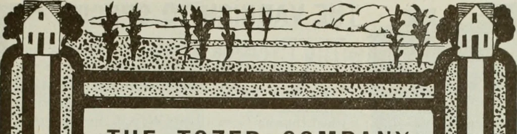 An illustration from The Architect & engineer of California and the Pacific Coast, 1905, leaf 180
