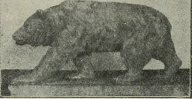 An illustration from The Architect & engineer of California and the Pacific Coast, 1905, leaf 29