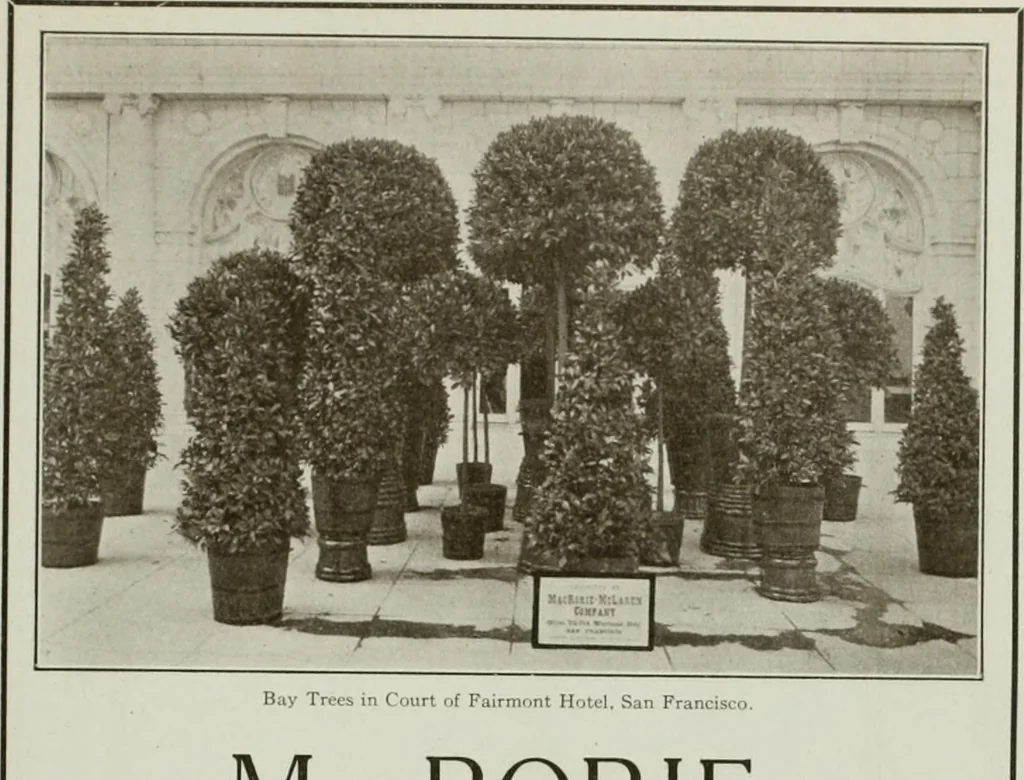An illustration from The Architect & engineer of California and the Pacific Coast, 1905, leaf 316