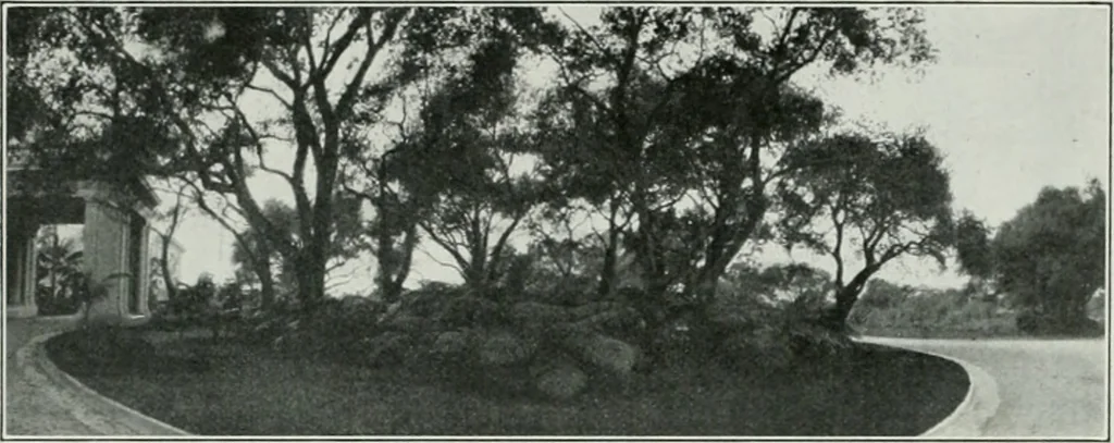 An illustration from The Architect & engineer of California and the Pacific Coast, 1905, leaf 358