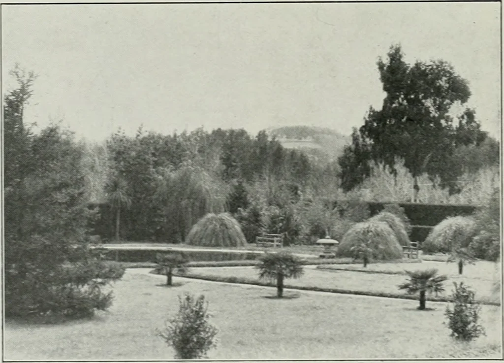 An illustration from The Architect & engineer of California and the Pacific Coast, 1905, leaf 361
