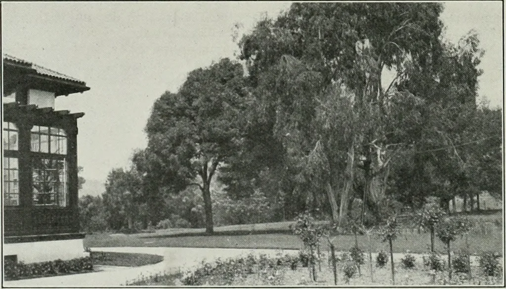 An illustration from The Architect & engineer of California and the Pacific Coast, 1905, leaf 363