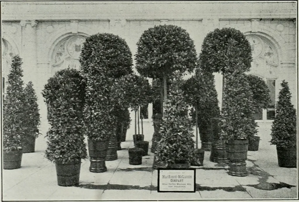 An illustration from The Architect & engineer of California and the Pacific Coast, 1905, leaf 365