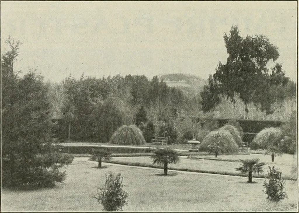 An illustration from The Architect & engineer of California and the Pacific Coast, 1905, leaf 153