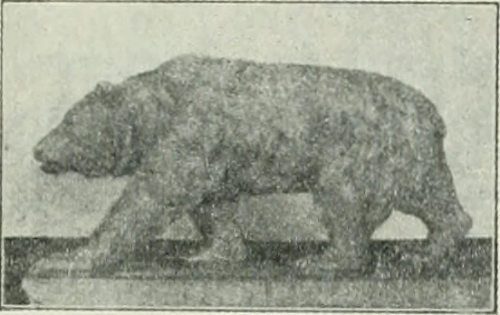 An illustration from The Architect & engineer of California and the Pacific Coast, 1905, leaf 164
