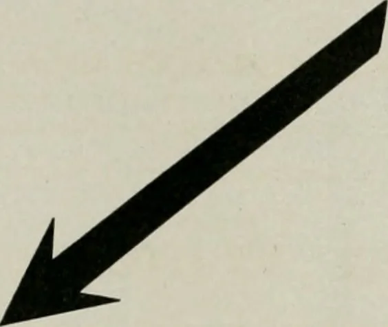 An illustration from The Architect & engineer of California and the Pacific Coast, 1905, leaf 10
