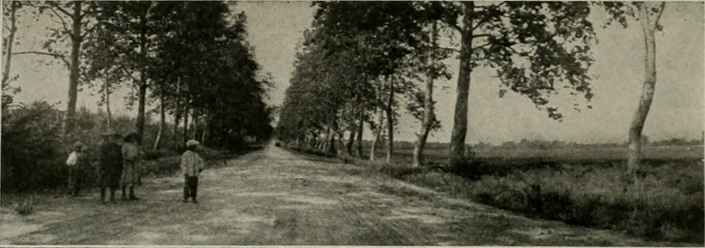 An illustration from The Architect & engineer of California and the Pacific Coast, 1905, leaf 211
