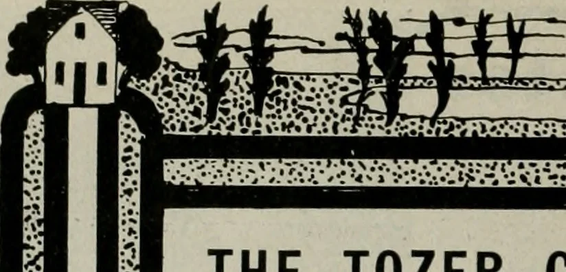 An illustration from The Architect & engineer of California and the Pacific Coast, 1905, leaf 223