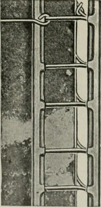 An illustration from The Architect & engineer of California and the Pacific Coast, 1905, leaf 31