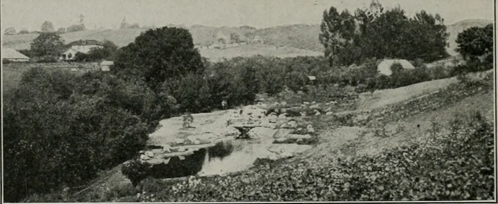 An illustration from The Architect & engineer of California and the Pacific Coast, 1905, leaf 345