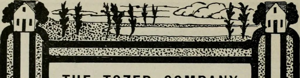 An illustration from The Architect & engineer of California and the Pacific Coast, 1905, leaf 409