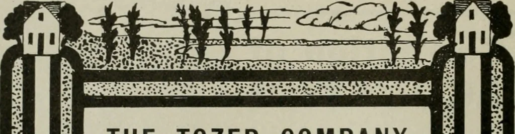 An illustration from The Architect & engineer of California and the Pacific Coast, 1905, leaf 45