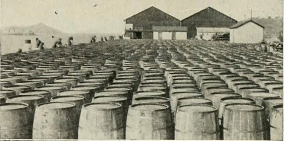 An illustration from The Architect & engineer of California and the Pacific Coast, 1905, leaf 213