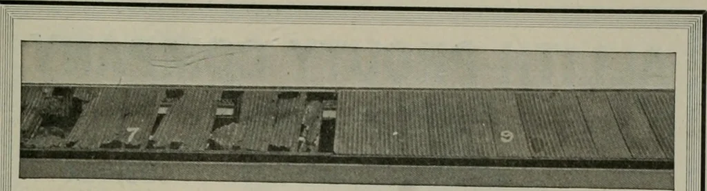 An illustration from The Architect & engineer of California and the Pacific Coast, 1905, leaf 206