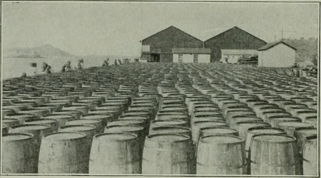 An illustration from The Architect & engineer of California and the Pacific Coast, 1905, leaf 31